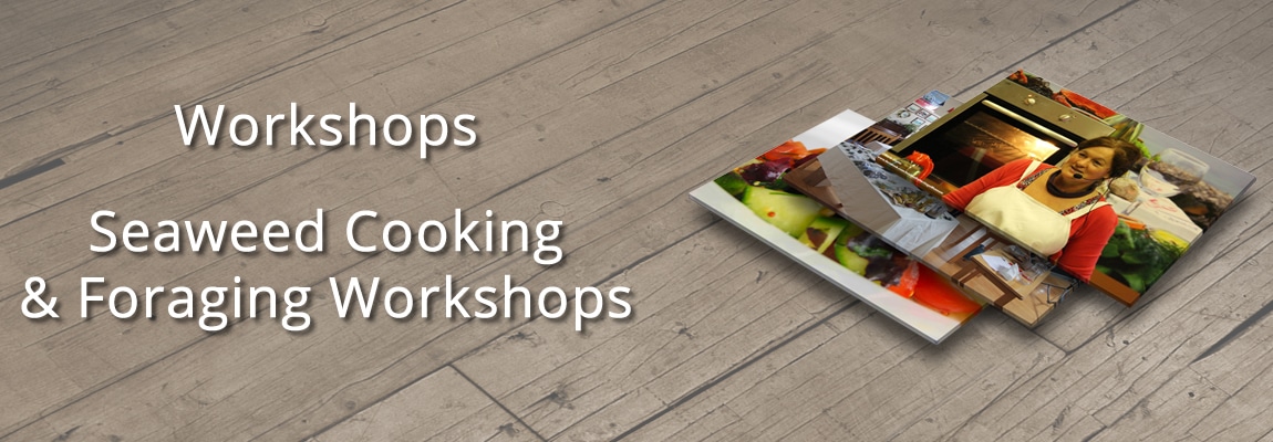 Seaweed Cooking And Foraging Workshops